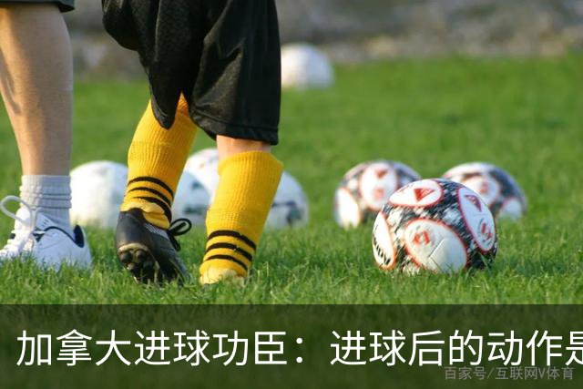 加拿大进球功臣：进球后的动作是给质疑我的媒体，他们可以闭嘴了
